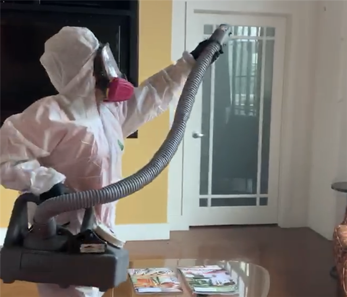 Coronavirus Cleanup  
