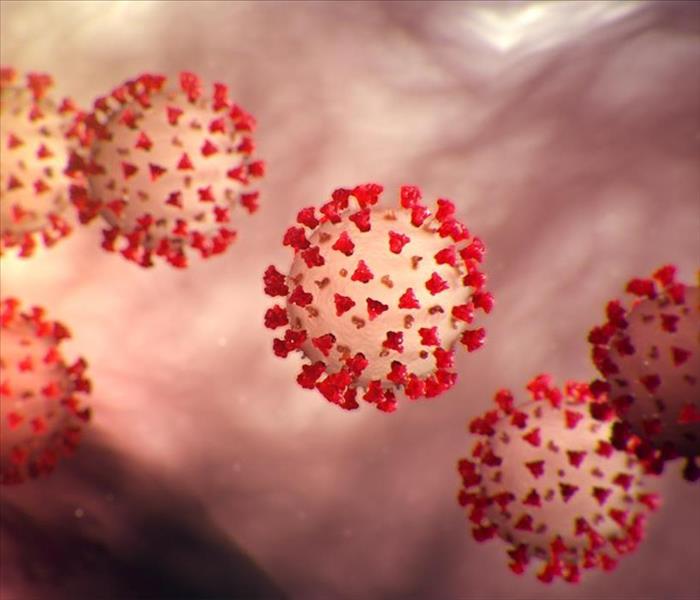 CORONAVIRUS 
